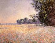 Claude Monet Oat and Poppy Field Sweden oil painting artist